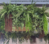 New Shopping Precinct's effective use of overhead Greenery...