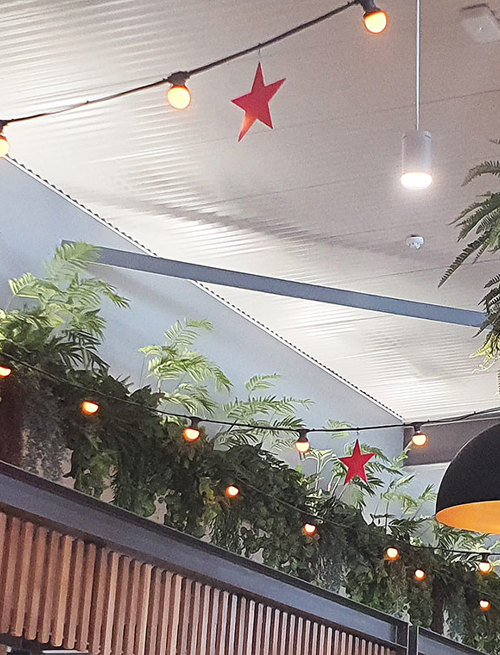 New Shopping Precinct's effective use of overhead Greenery...