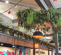 New Shopping Precinct's effective use of overhead Greenery...