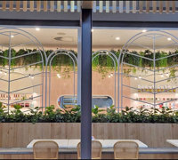 New Shopping Precinct's effective use of overhead Greenery...