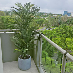 Cane Palm 1.75m-UV stable - artificial plants, flowers & trees - image 1