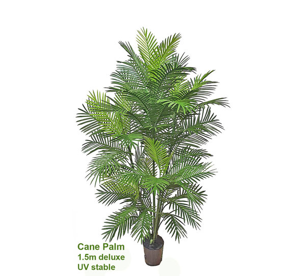 Cane Palm 1.5m deluxe* UV-stable *extra bushy