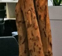 Giant Ficus Tree in Office Planter