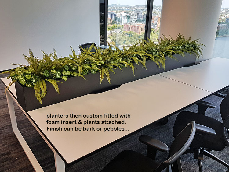 Matching Greenery for work-station planters...