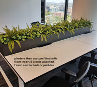 Matching Greenery for work-station planters...