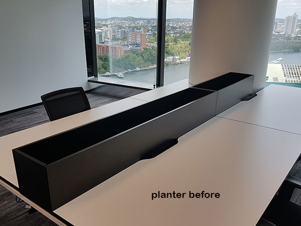 Matching Greenery for work-station planters...