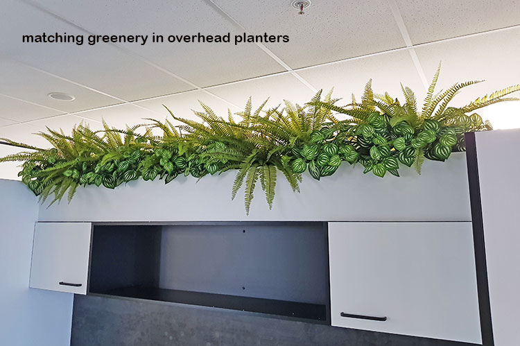 Matching Greenery for work-station planters...