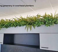 Matching Greenery for work-station planters...