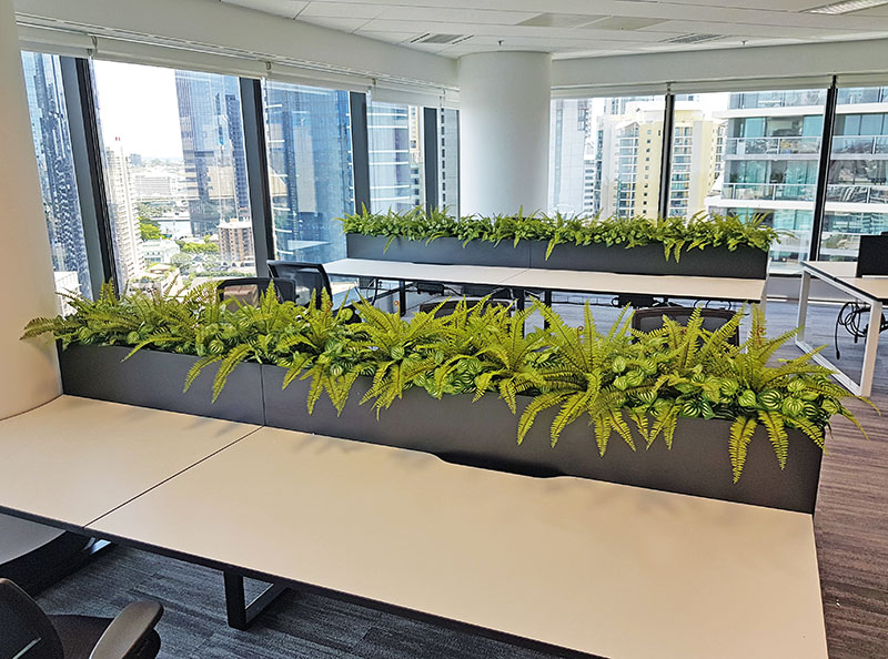 Matching Greenery for work-station planters...