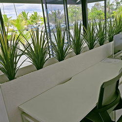 Grass Bush [Pony-Tail] 75cm - artificial plants, flowers & trees - image 2