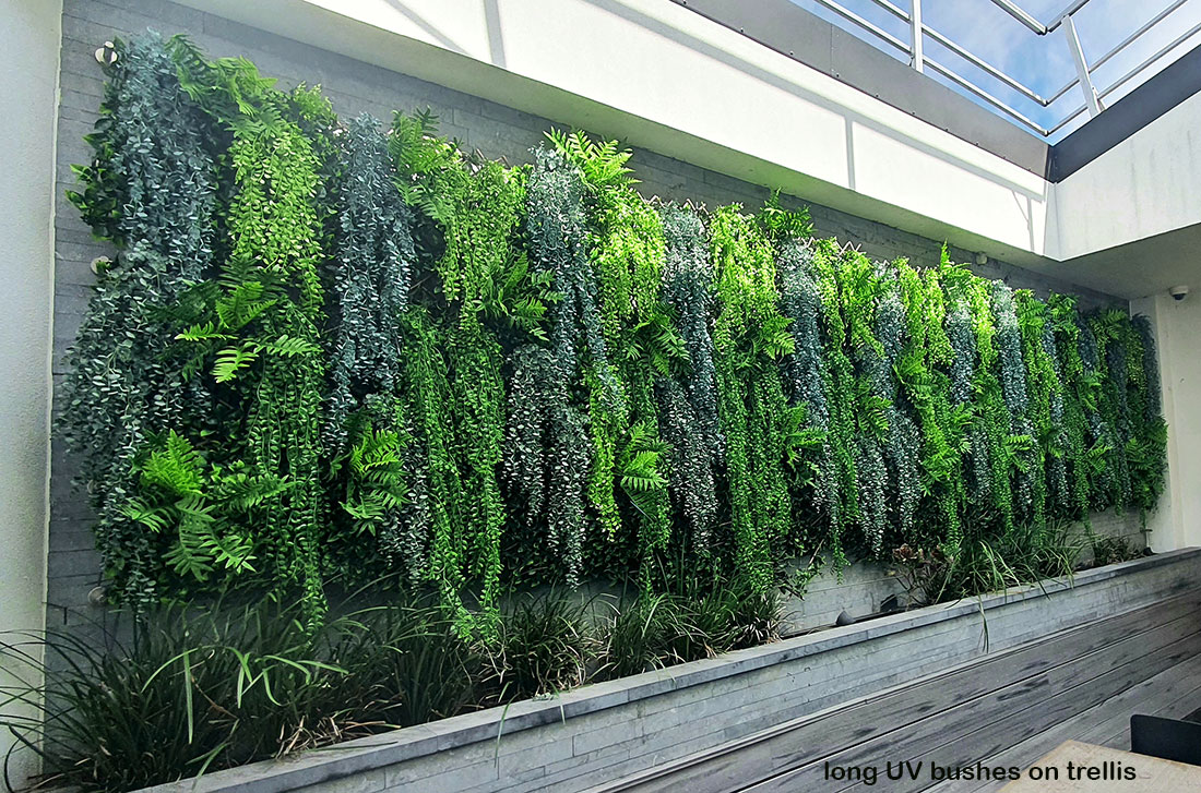 UV-Trailer: 'Silver Falls' Fern 120cm