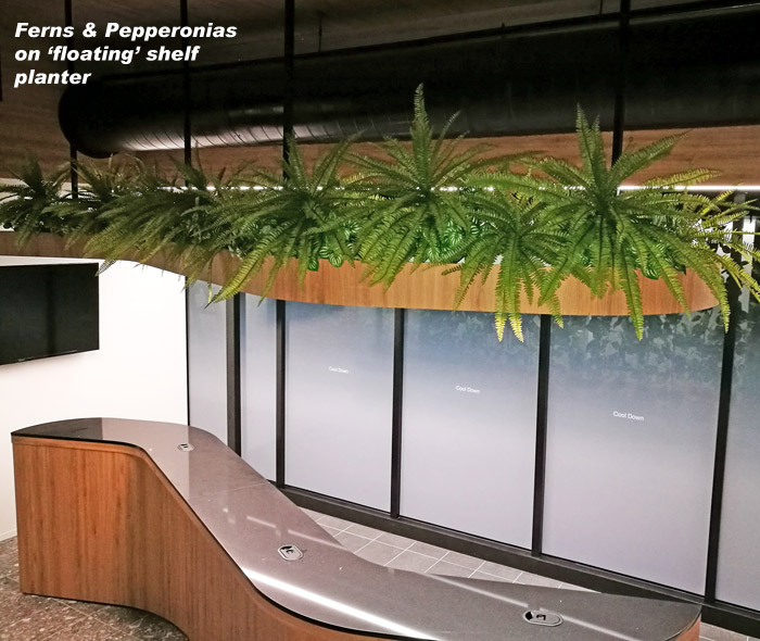 Climbing Vines in Office Foyer