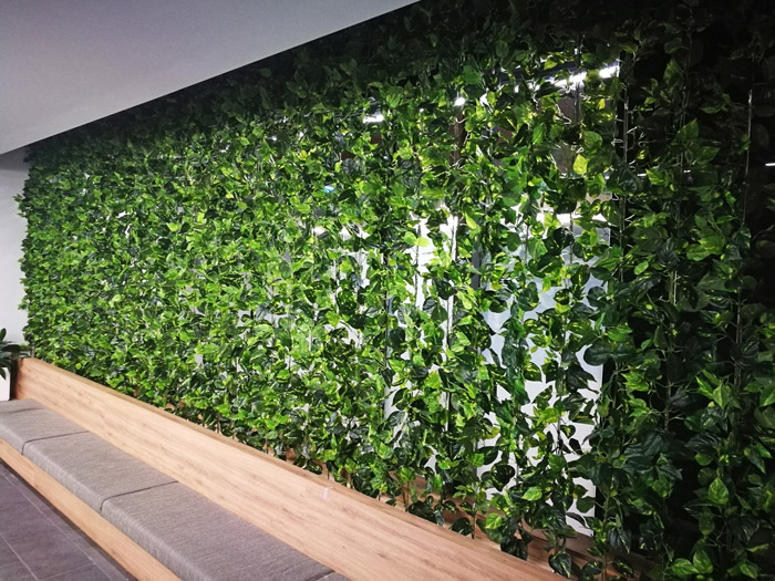 Climbing Vines in Office Foyer
