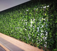 Climbing Vines in Office Foyer