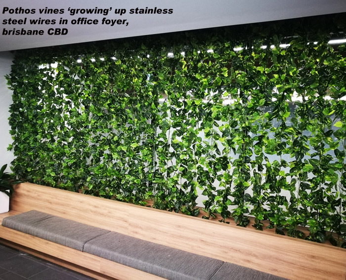 Climbing Vines in Office Foyer