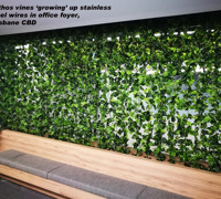 Climbing Vines in Office Foyer