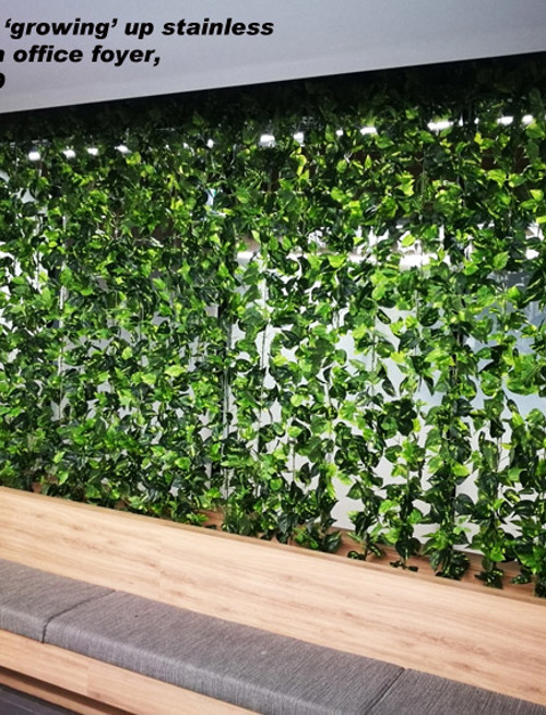 Climbing Vines in Office Foyer
