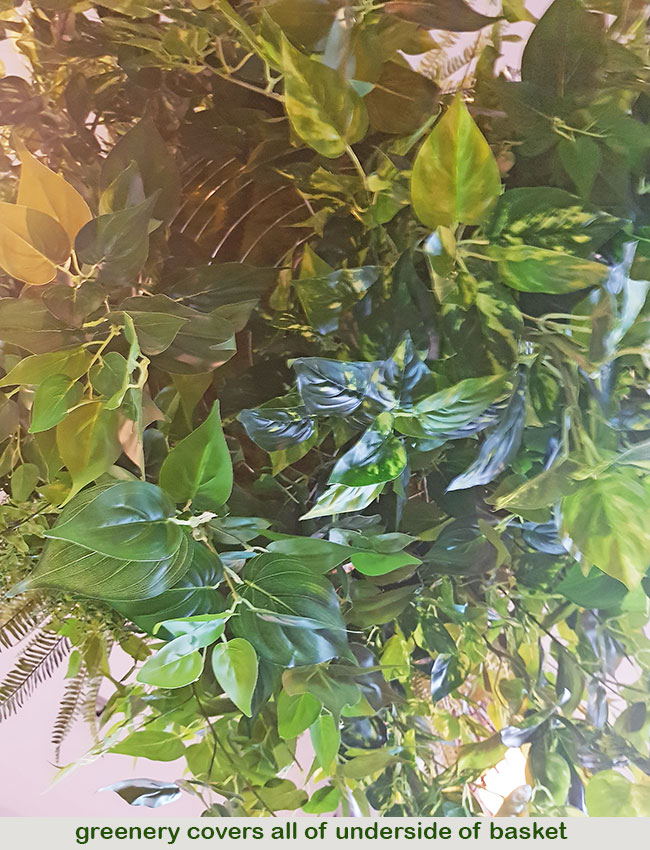 Huge Hanging-Baskets add cosy green feel to Hotel Eatery...