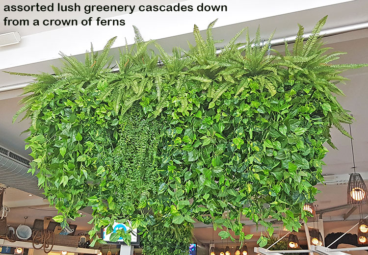 Huge Hanging-Baskets add cosy green feel to Hotel Eatery...