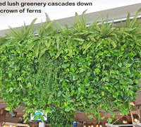 Huge Hanging-Baskets add cosy green feel to Hotel Eatery...