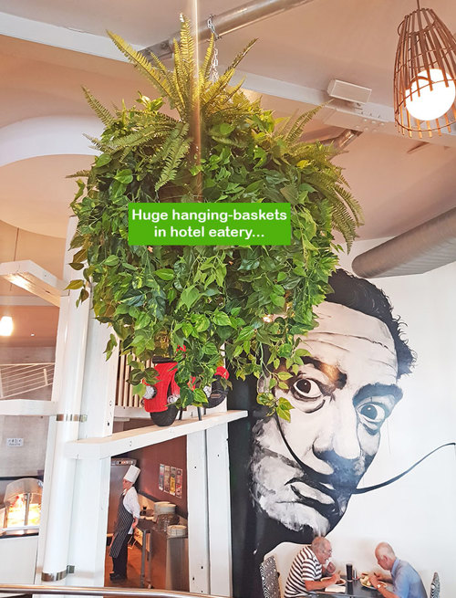 Huge Hanging-Baskets add cosy green feel to Hotel Eatery...
