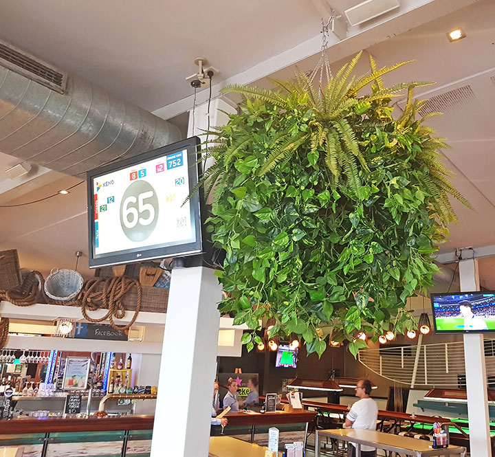 Huge Hanging-Baskets add cosy green feel to Hotel Eatery...