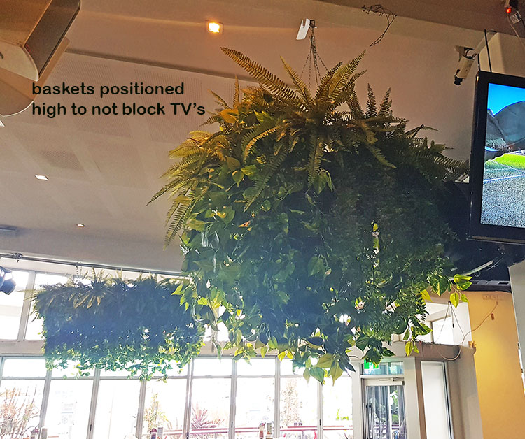 Huge Hanging-Baskets add cosy green feel to Hotel Eatery...