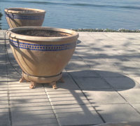 Before n After Shots..... Feature Trees in planters