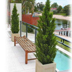 Cypress Pine UV 1.5m  - artificial plants, flowers & trees - image 1