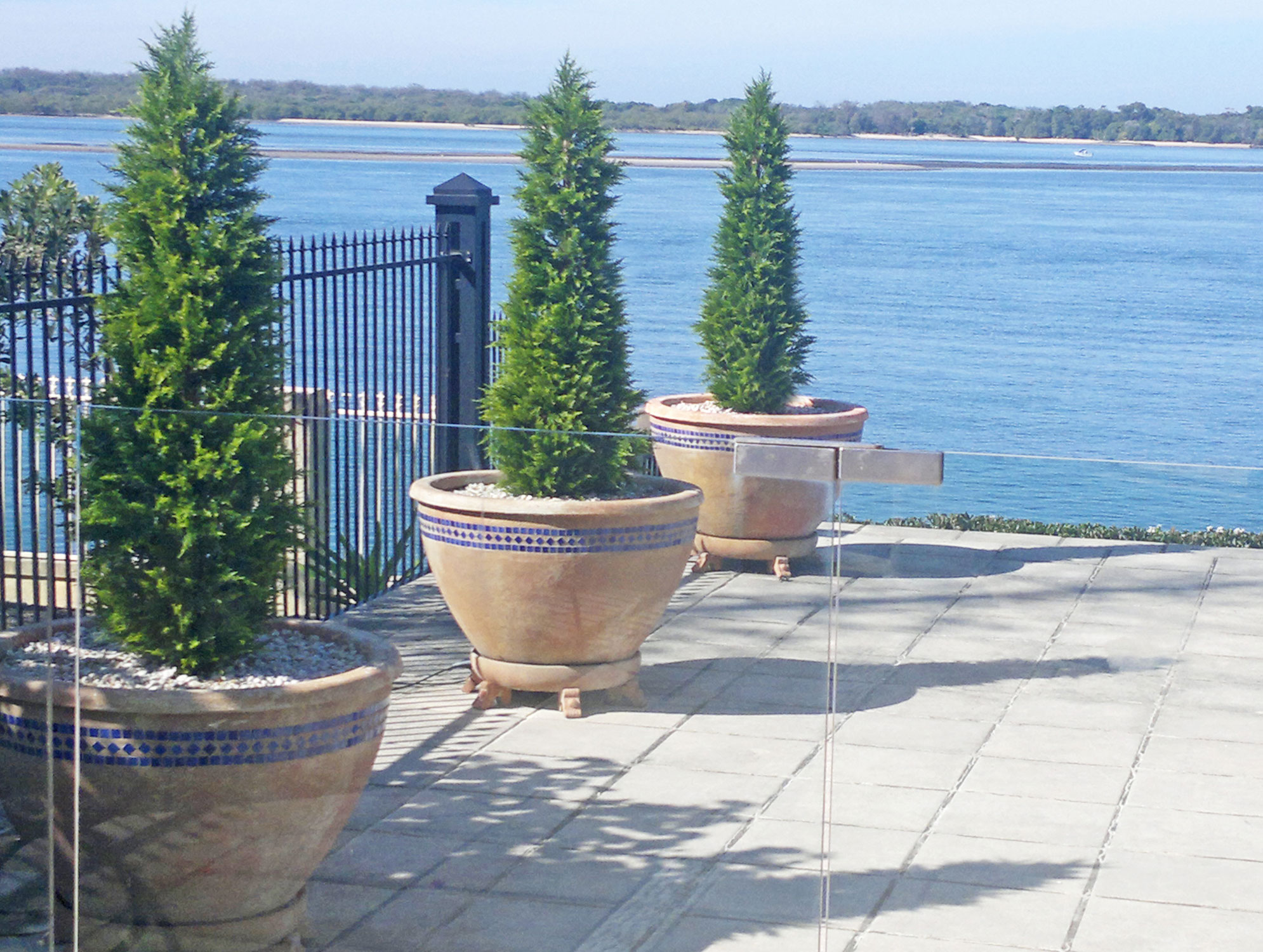 Before n After Shots..... Feature Trees in planters