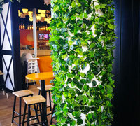 Before & After Shots...... Climbing Vines etc 2