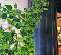 Artificial Greenery for VISUAL IMPACT in restaurant