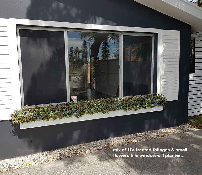 Before & After Shots..... Outdoor Planters