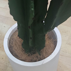 Planters- Cylinder Pot med -white - artificial plants, flowers & trees - image 3