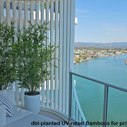 Bamboo UV-treated 1.8m - artificial plants, flowers & trees - image 3