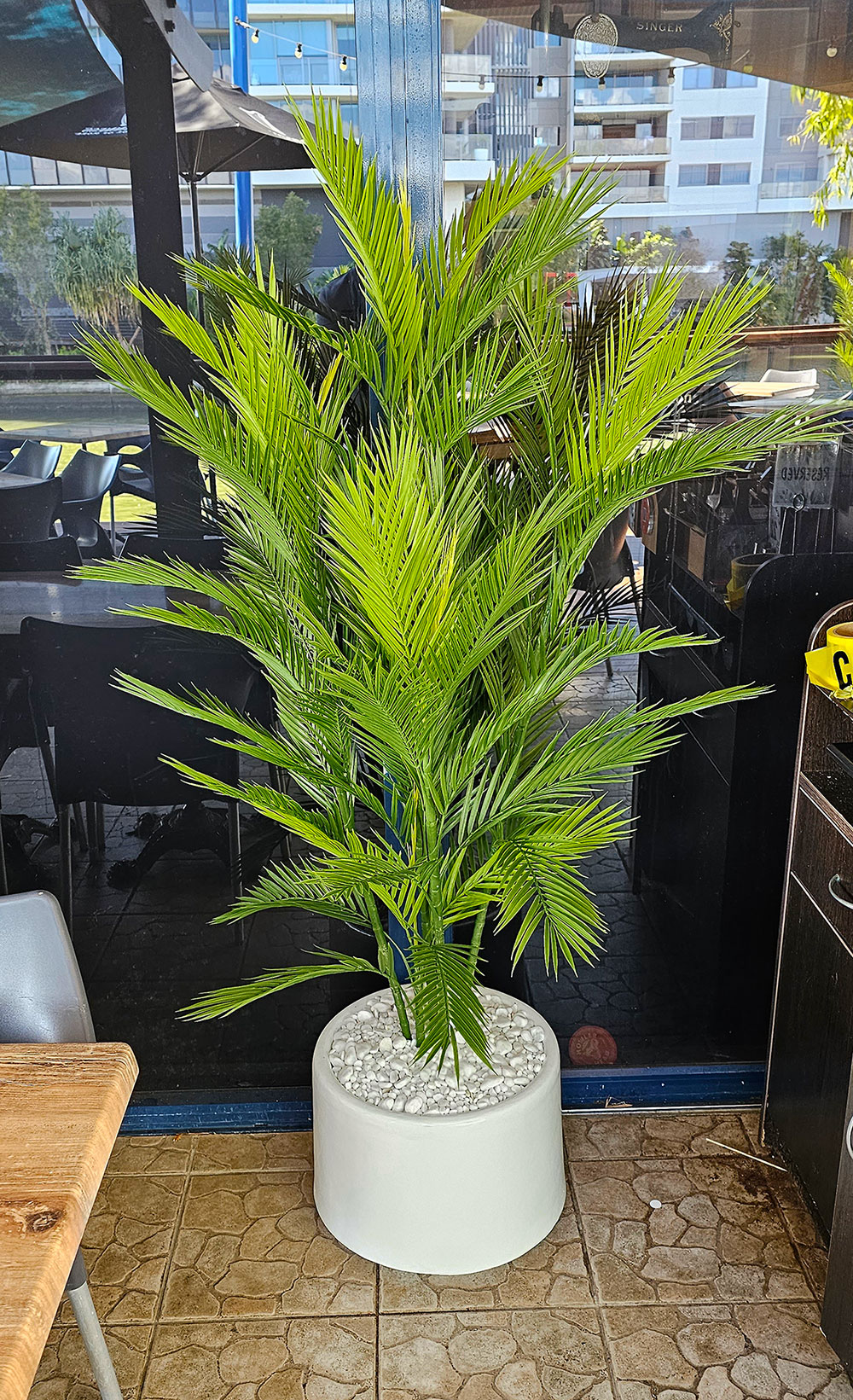 Parlour Palm UV 1.9m