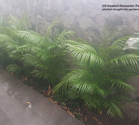 Before & After Shots..... Outdoor Planters