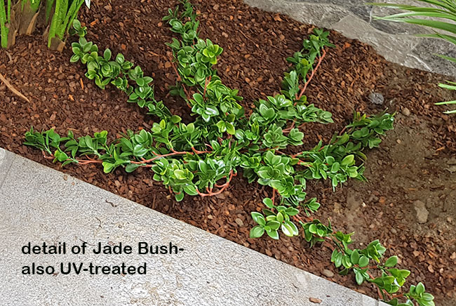 Planting artificial plants straight into the garden outdoors!!!