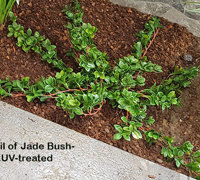 Planting artificial plants straight into the garden outdoors!!!
