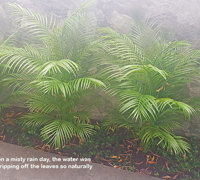 Planting artificial plants straight into the garden outdoors!!!