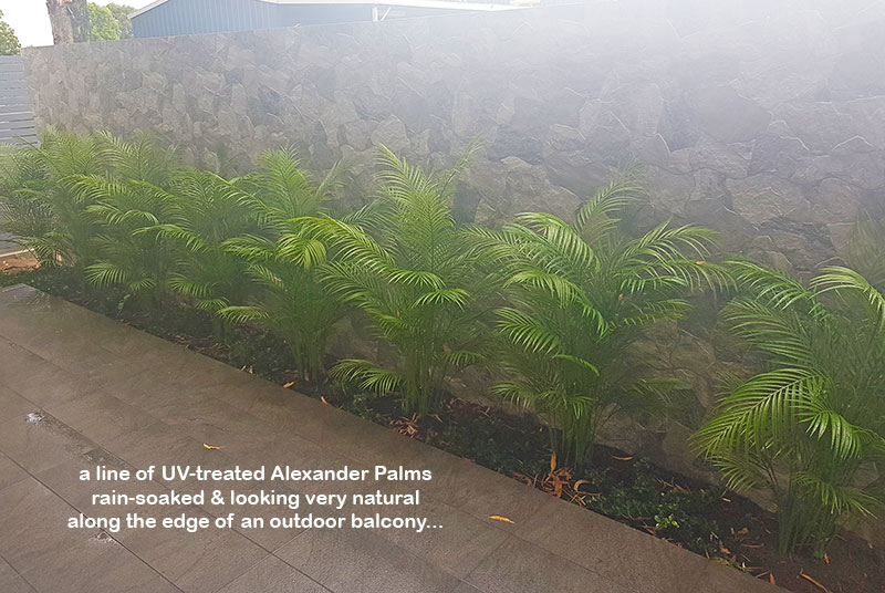 Planting artificial plants straight into the garden outdoors!!!