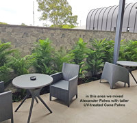 Planting artificial plants straight into the garden outdoors!!!
