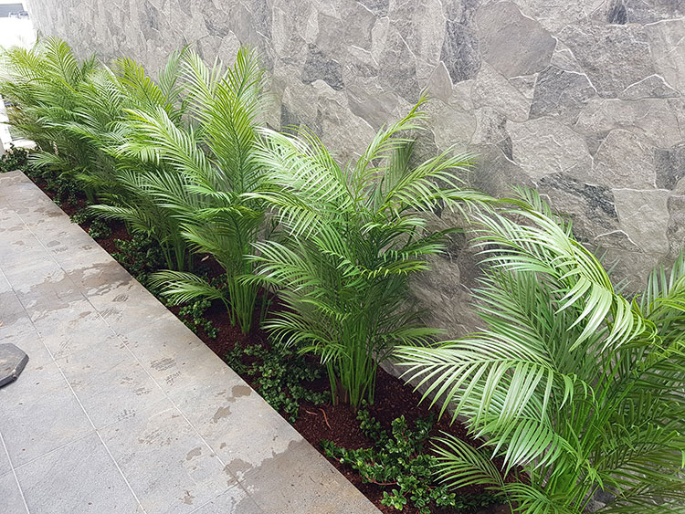 Planting artificial plants straight into the garden outdoors!!!