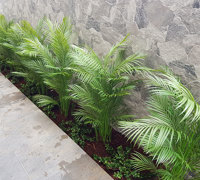 Planting artificial plants straight into the garden outdoors!!!