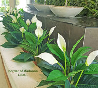 artificial plants are solution for tranquil Foyer Fountain setting...