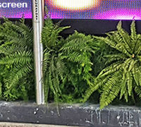 Artificial Green Walls turn concrete canyon into a porte cochere