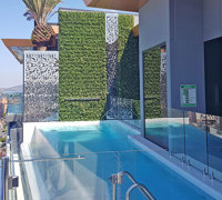Artificial Green Wall above Penthouse Pool- tricky install!