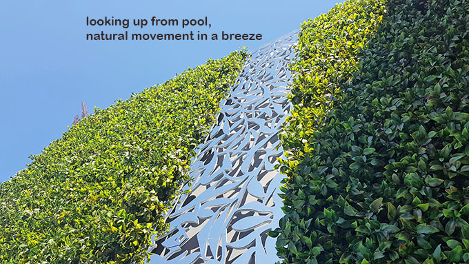 Artificial Green Wall above Penthouse Pool- tricky install!