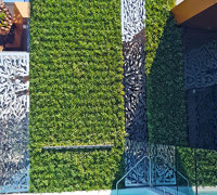 Artificial Green Wall above Penthouse Pool- tricky install!