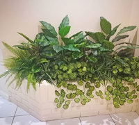 Entry Planters get a revamp...